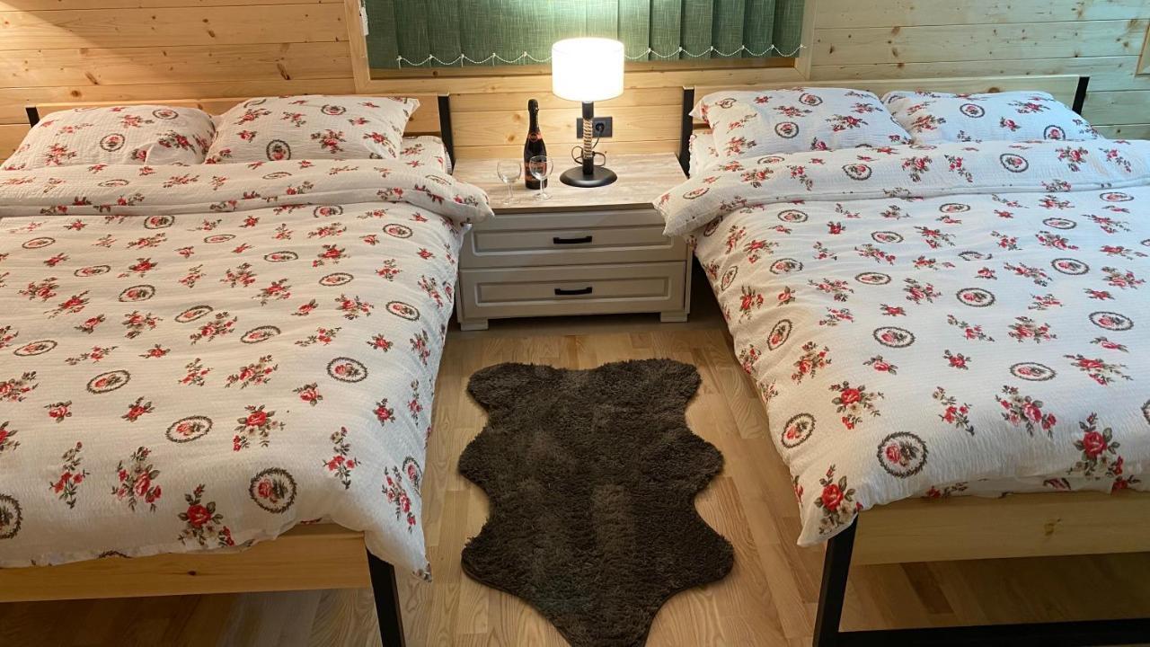 Alexandar Studio Apartman Μόκρα Γκόρα Εξωτερικό φωτογραφία